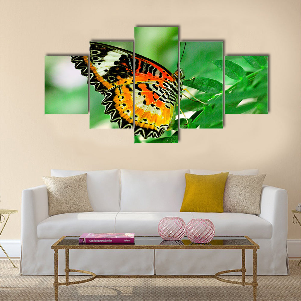 Beautiful butterfly with green background Multi Panel Canvas Wall Art