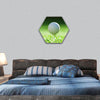 golf ball on green grass hexagonal canvas wall art