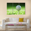 Golf ball on green grass Multi Panel Canvas Wall Art