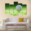 Golf ball on green grass Multi Panel Canvas Wall Art