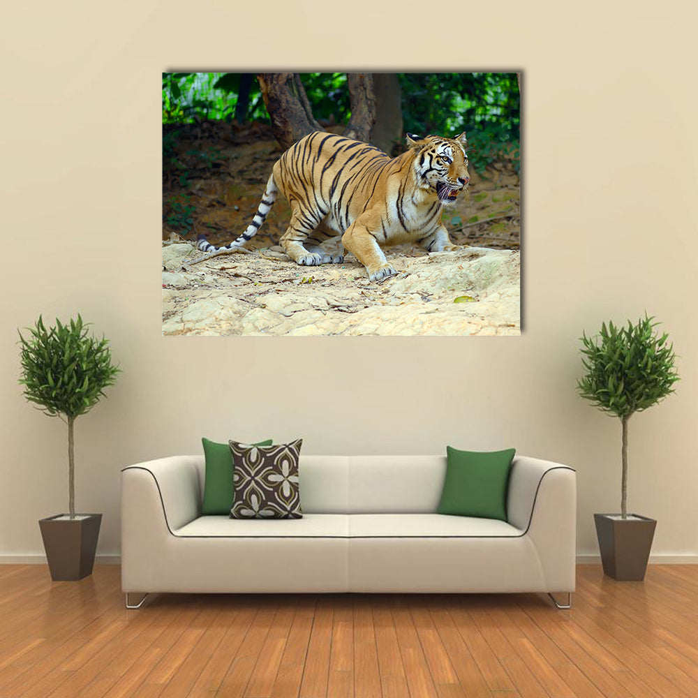 Tiger In Its Natural Habitat Multi Panel Canvas Wall Art