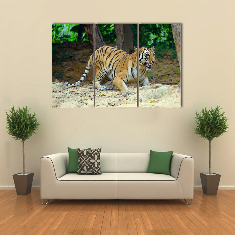Tiger In Its Natural Habitat Multi Panel Canvas Wall Art