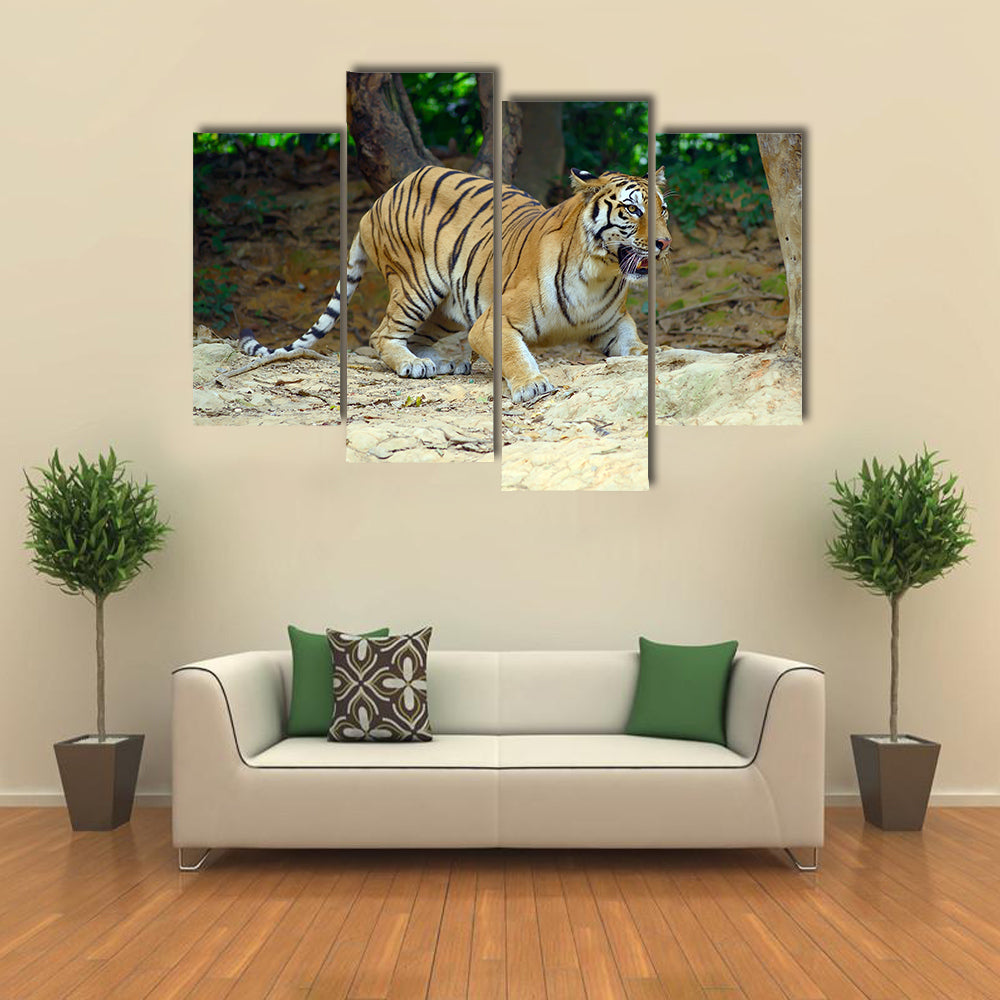 Tiger In Its Natural Habitat Multi Panel Canvas Wall Art