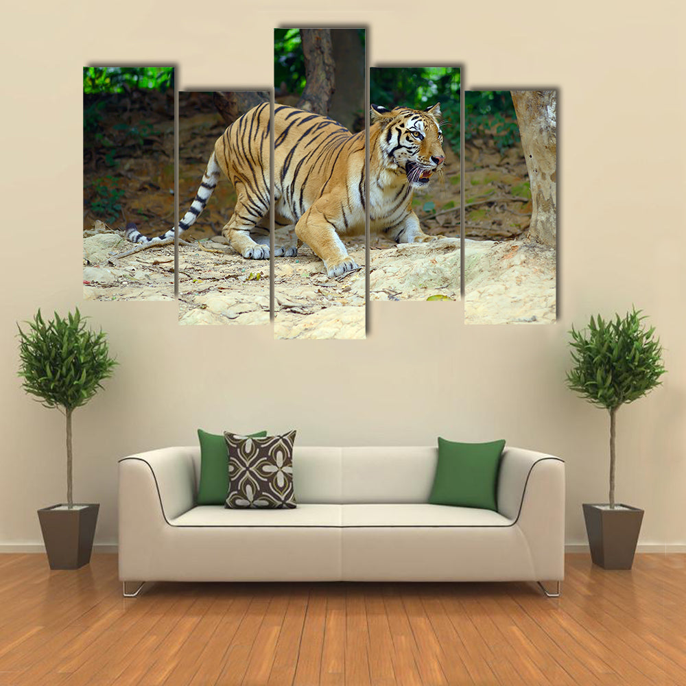 Tiger In Its Natural Habitat Multi Panel Canvas Wall Art