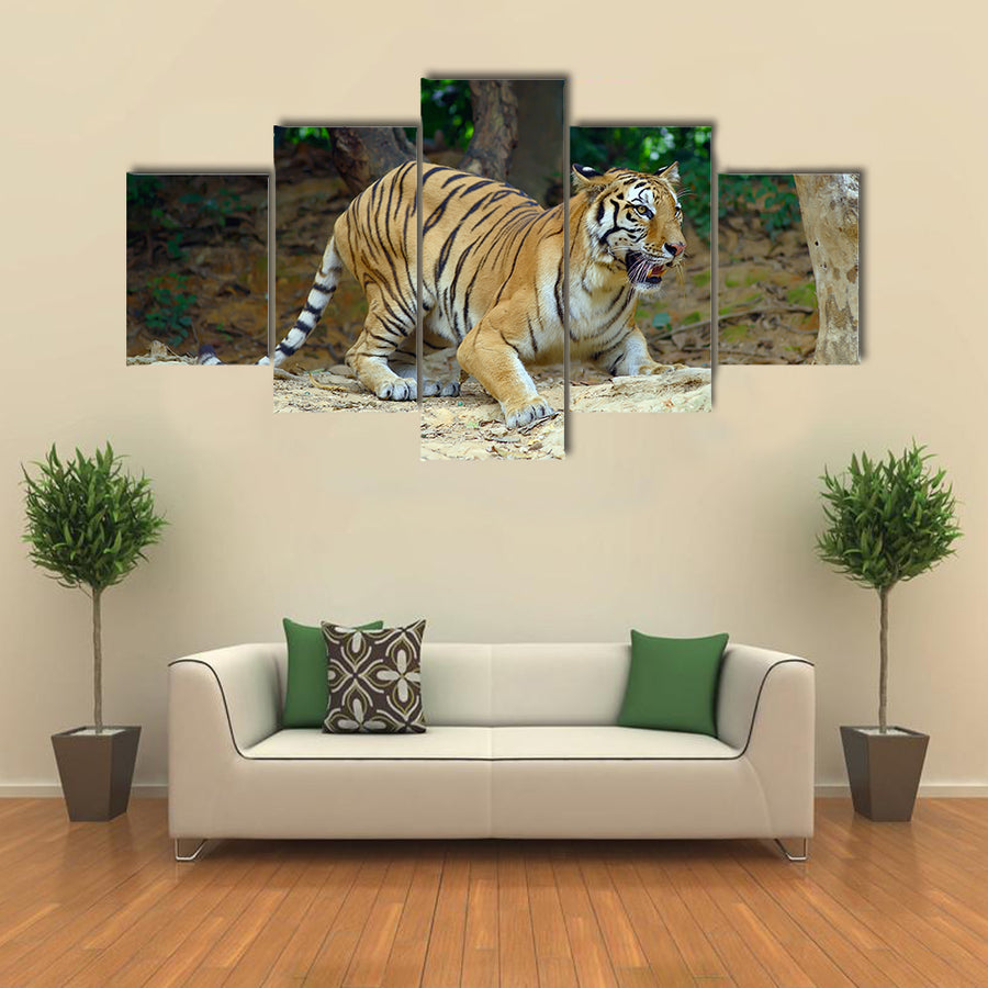 Tiger In Its Natural Habitat Multi Panel Canvas Wall Art