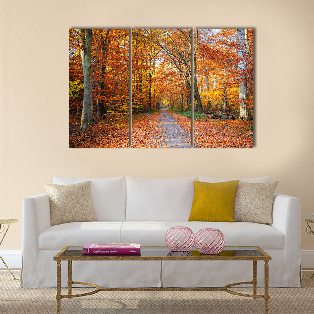 Pathway through the autumn forest Multi panel canvas wall art