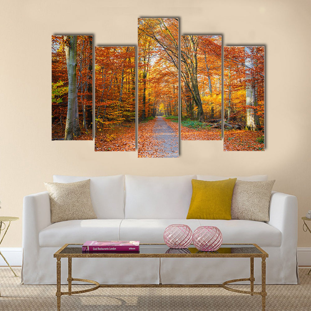 Pathway through the autumn forest Multi panel canvas wall art
