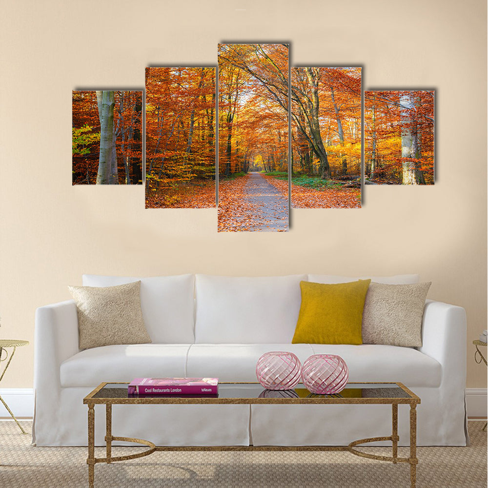 Pathway through the autumn forest Multi panel canvas wall art