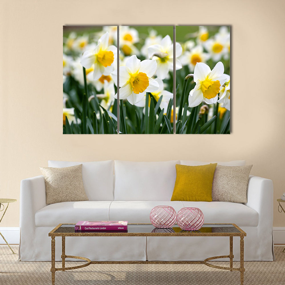 Narcissus flowers Multi Panel Canvas Wall Art