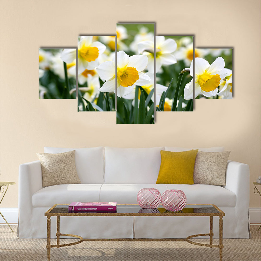Narcissus flowers Multi Panel Canvas Wall Art
