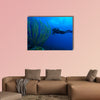 Diver and soft corals, Cayo Largo, Cuba Multi panel canvas wall art