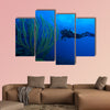 Diver and soft corals, Cayo Largo, Cuba Multi panel canvas wall art