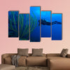 Diver and soft corals, Cayo Largo, Cuba Multi panel canvas wall art