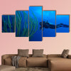 Diver and soft corals, Cayo Largo, Cuba Multi panel canvas wall art