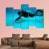 Diver near sand bottom, Cuba Multi panel canvas wall art