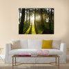 Morning light at pine forest in National Park of thailand multi panel canvas wall art