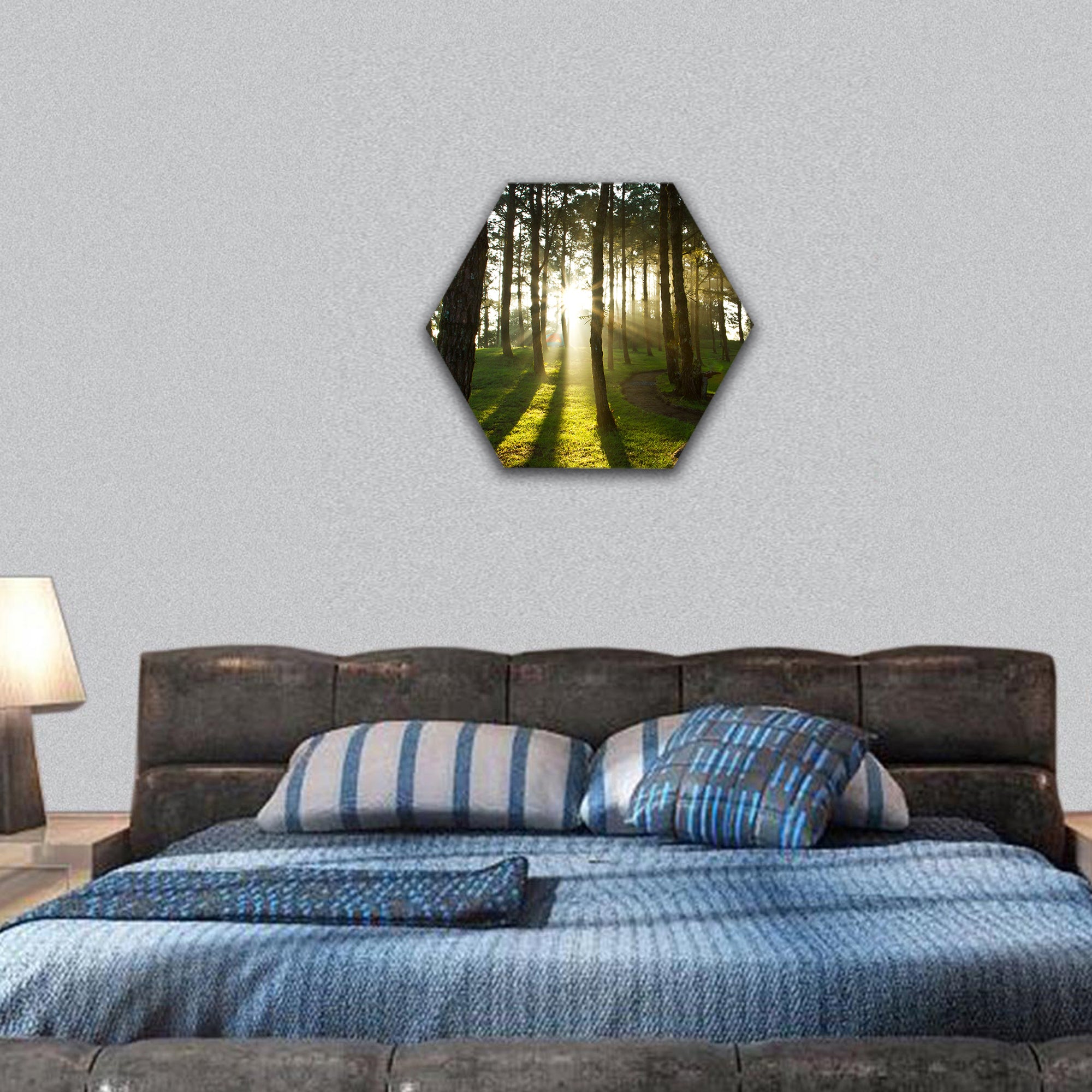 Morning light at pine forest in National Park of thailand hexagonal canvas wall art