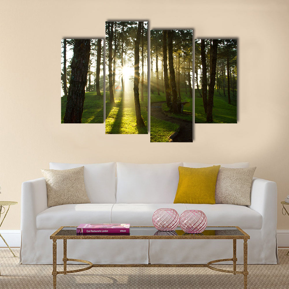 Morning light at pine forest in National Park of thailand multi panel canvas wall art