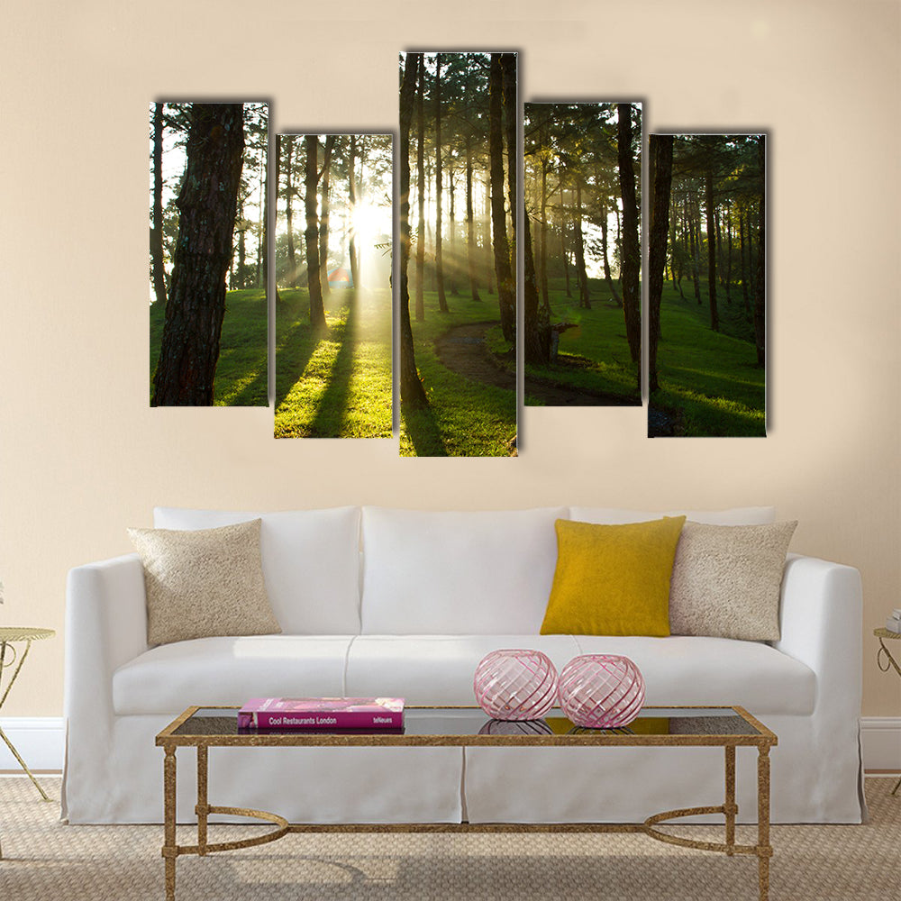 Morning light at pine forest in National Park of thailand multi panel canvas wall art