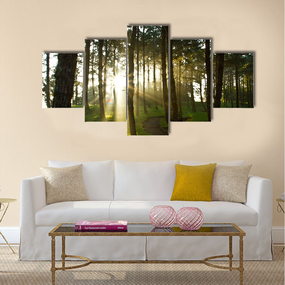 Morning light at pine forest in National Park of thailand multi panel canvas wall art