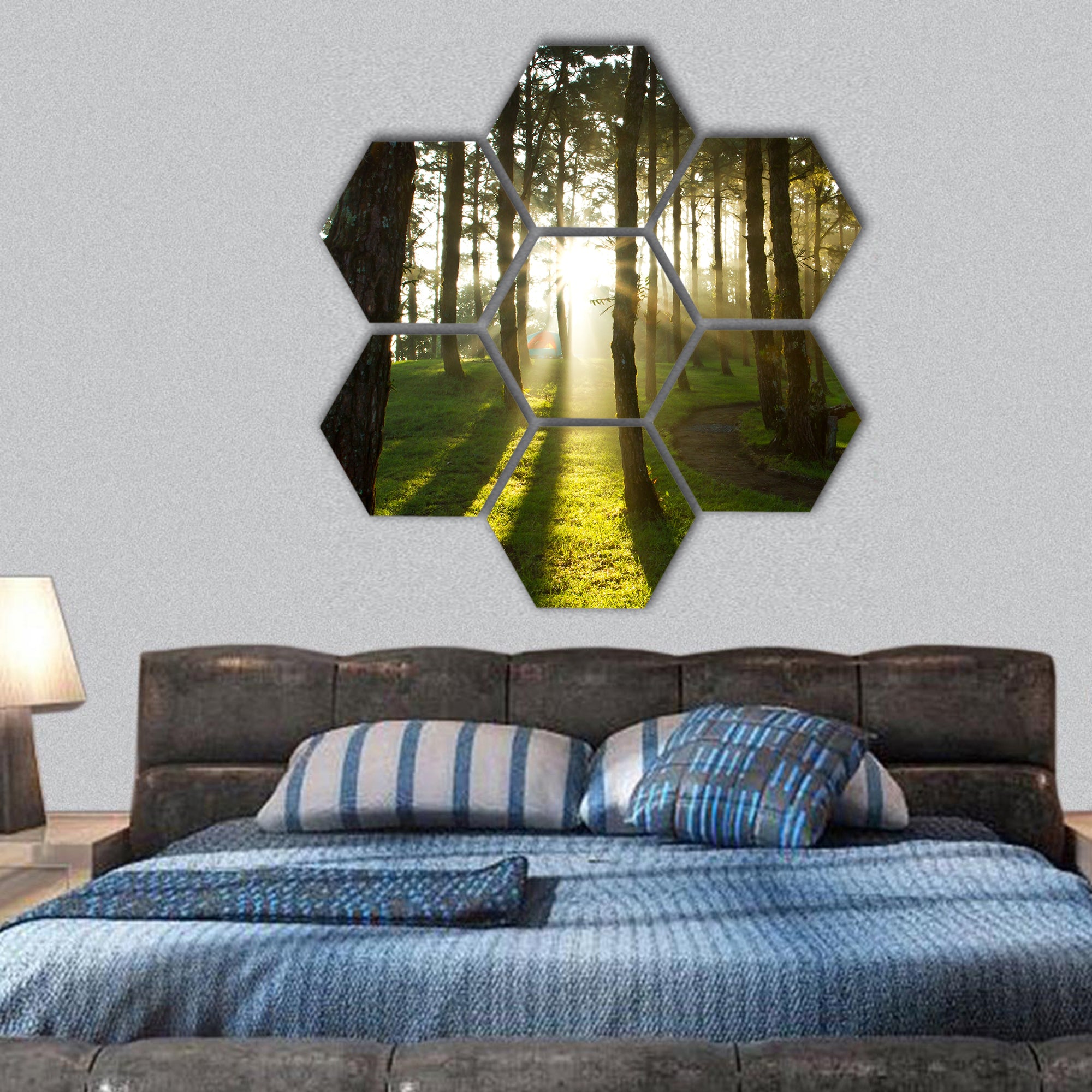 Morning light at pine forest in National Park of thailand hexagonal canvas wall art