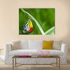 Monarch Butterfly, Milkweed Mania, baby born in the nature Multi Panel Canvas Wall Art