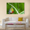 Monarch Butterfly, Milkweed Mania, baby born in the nature Multi Panel Canvas Wall Art