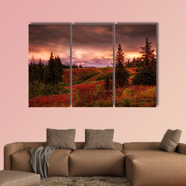 Fall sunset in rural Alaska with spruce trees and red fireweed with pink clouds multi panel canvas wall art