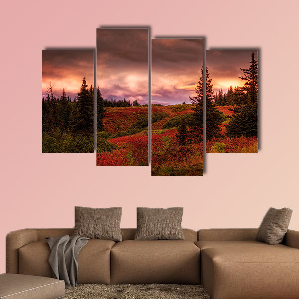 Fall sunset in rural Alaska with spruce trees and red fireweed with pink clouds multi panel canvas wall art