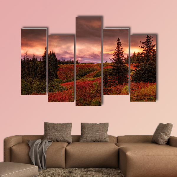 Fall sunset in rural Alaska with spruce trees and red fireweed with pink clouds multi panel canvas wall art