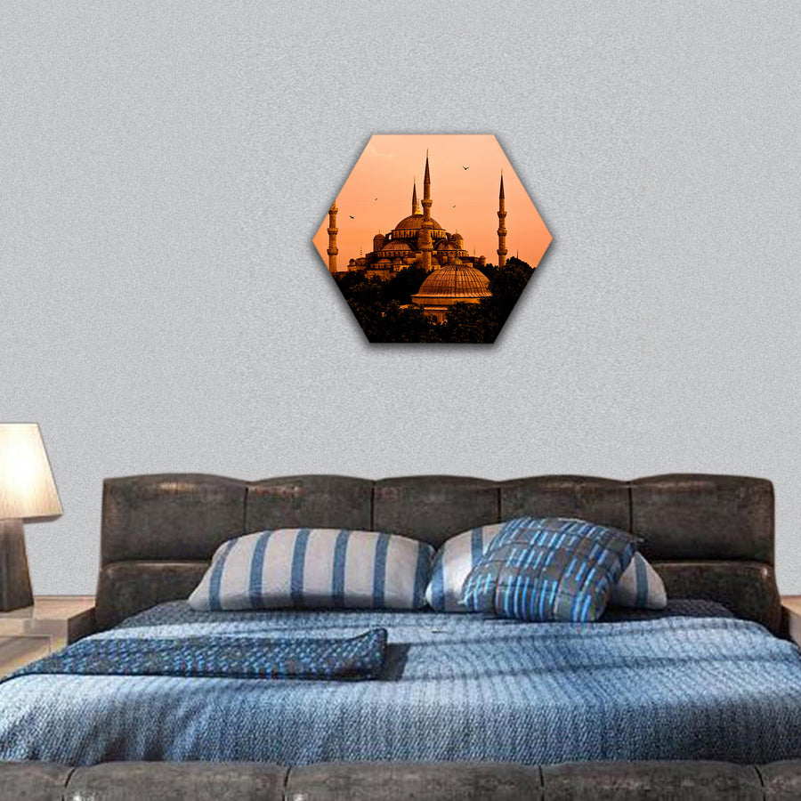 The Blue Mosque, Istanbul, Turkey hexagonal canvas wall art