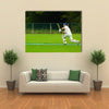 Cricket player in action Multi panel canvas Wall art