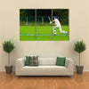 Cricket player in action Multi panel canvas Wall art