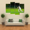 Cricket player in action Multi panel canvas Wall art