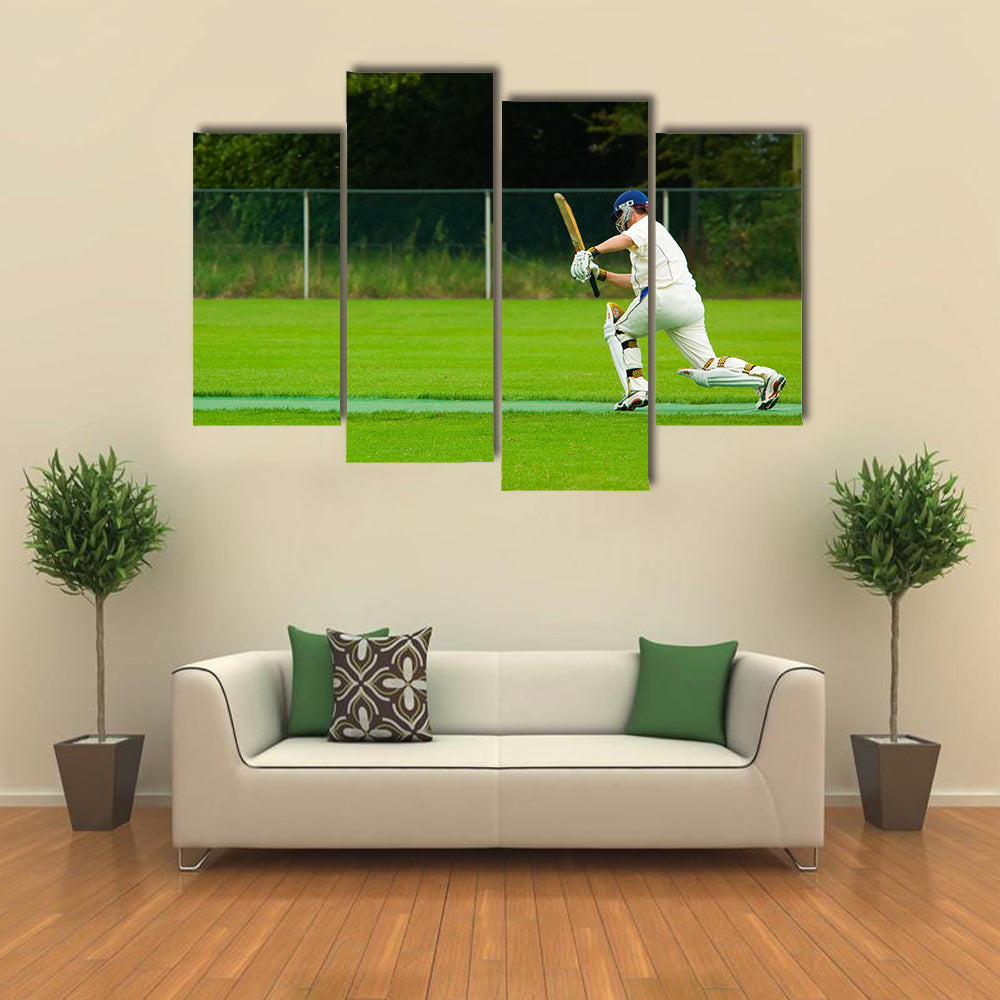 Cricket player in action Multi panel canvas Wall art