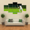 Cricket player in action Multi panel canvas Wall art