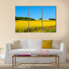 Rapeseed field with forest far away Multi panel canvas wall art