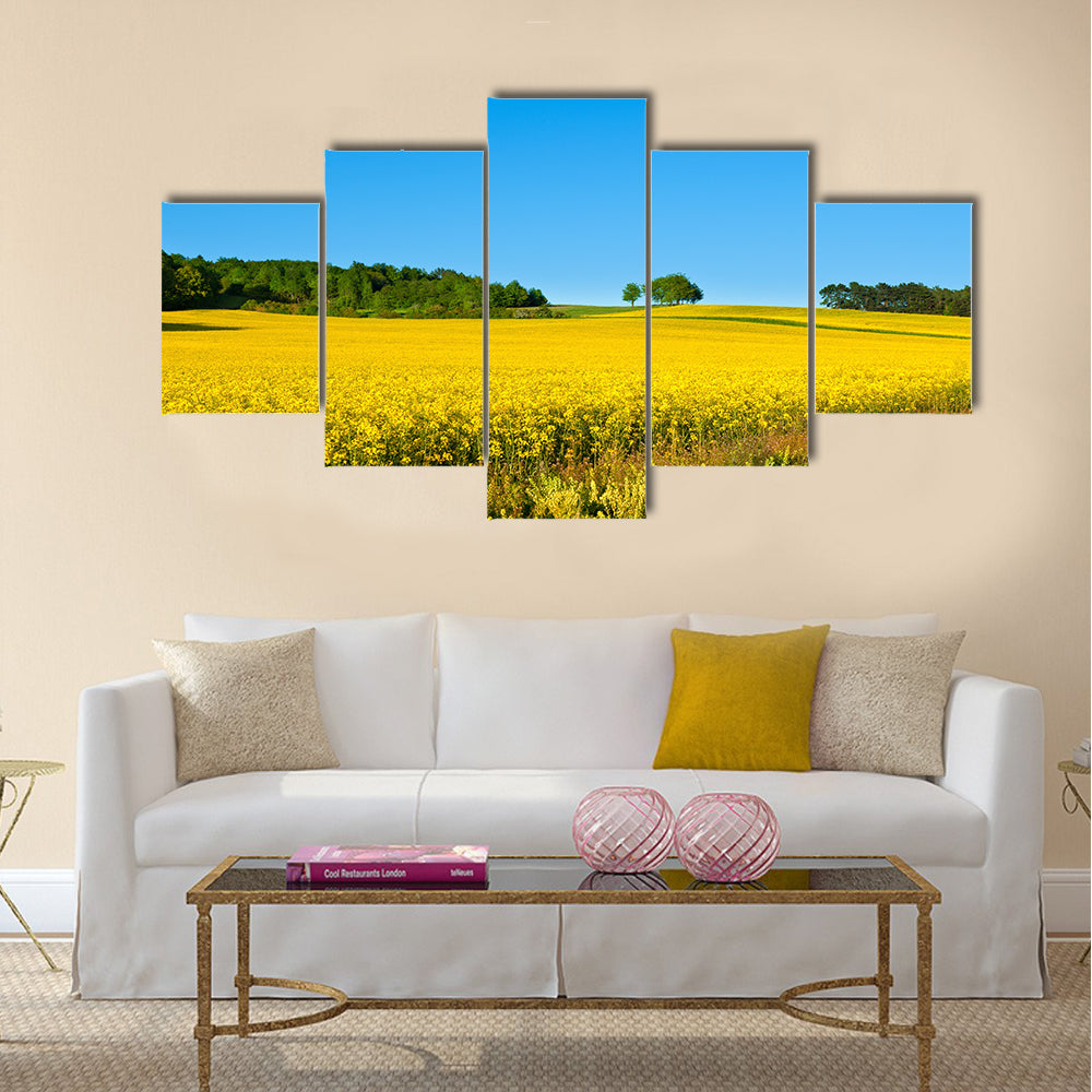 Rapeseed field with forest far away Multi panel canvas wall art