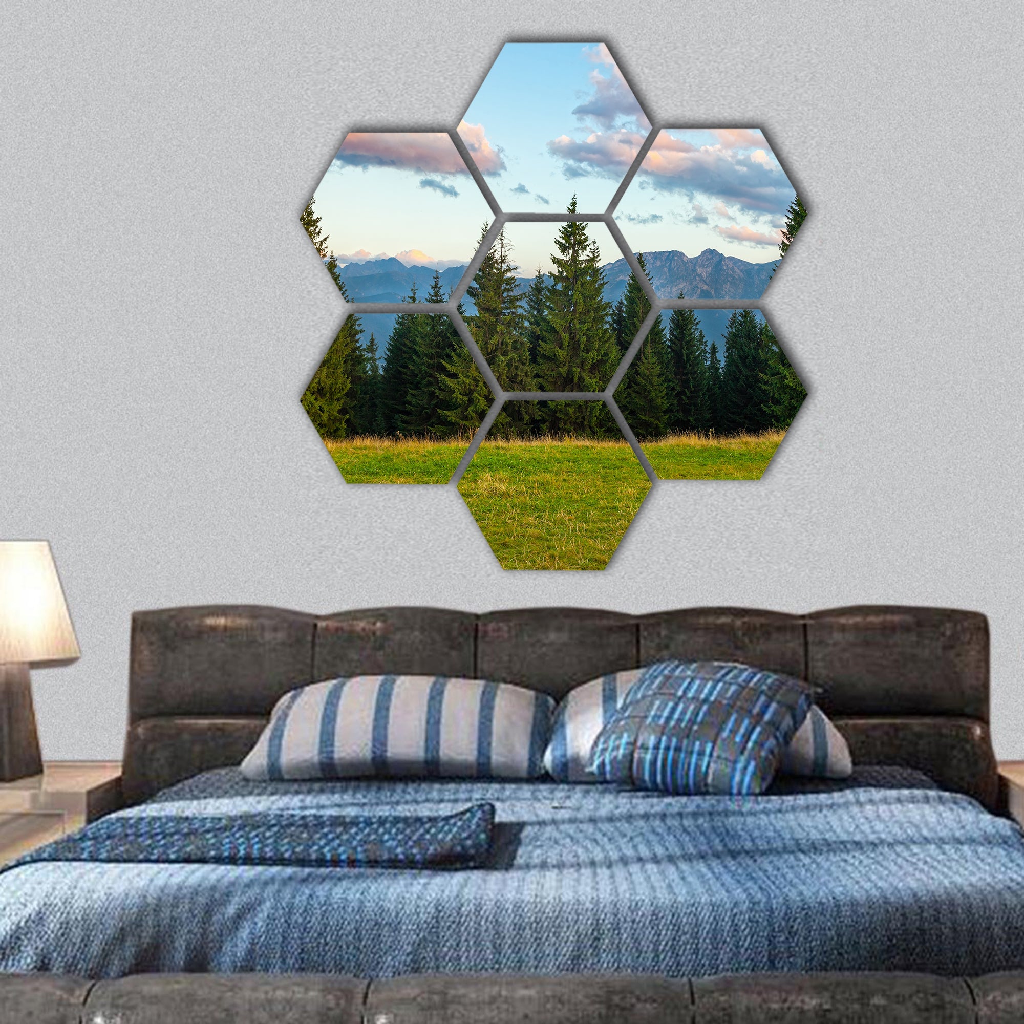 Summer evening Tatra Mountains, Poland hexagonal canvas wall art