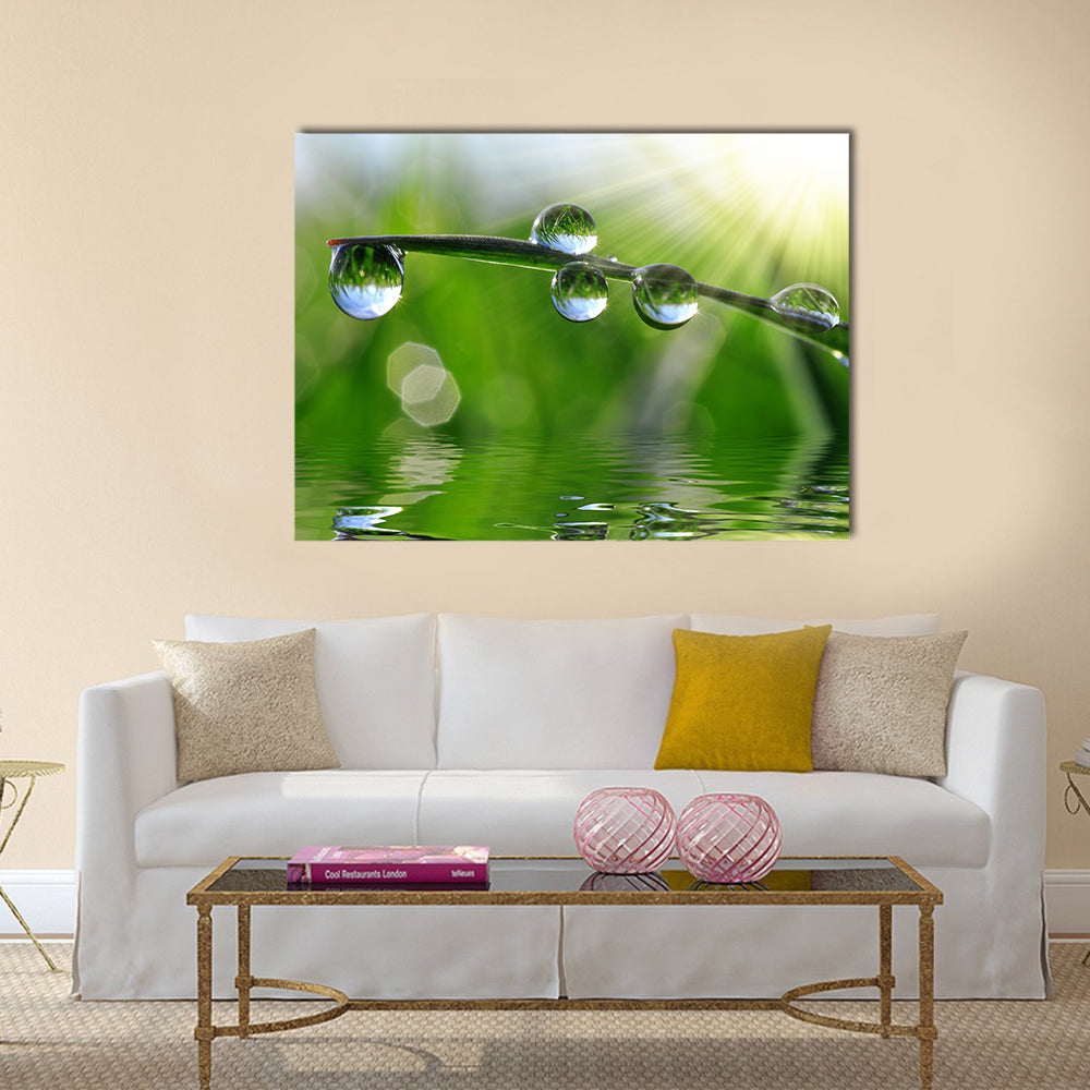 Beautiful Dew Drops On The Fresh Grass, Multi Panel Canvas Wall Art