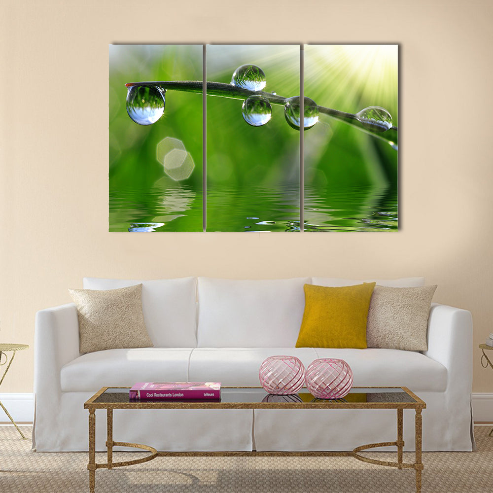 Beautiful Dew Drops On The Fresh Grass, Multi Panel Canvas Wall Art