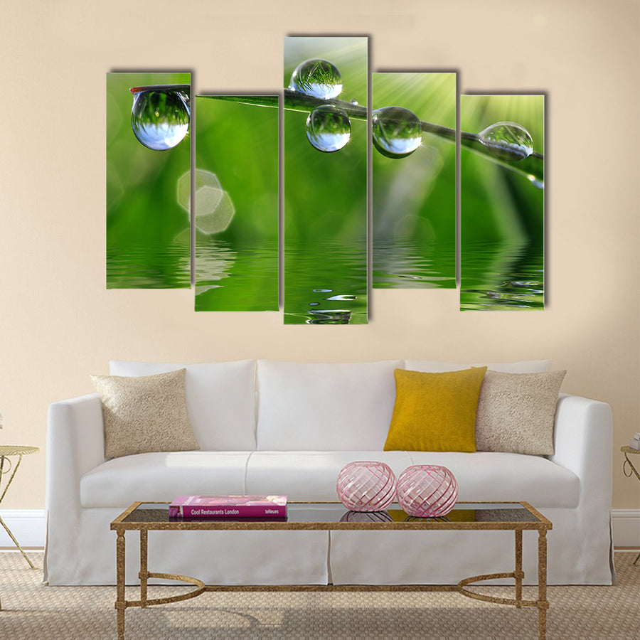 Beautiful Dew Drops On The Fresh Grass, Multi Panel Canvas Wall Art