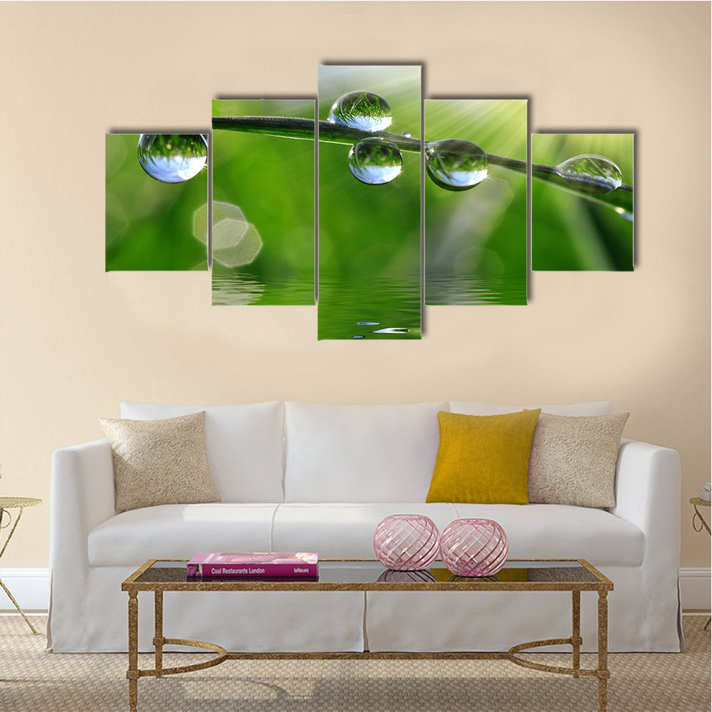 Beautiful Dew Drops On The Fresh Grass, Multi Panel Canvas Wall Art