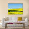 Yellow rapse field in denmark in spring Multi Panel Canvas Wall Art