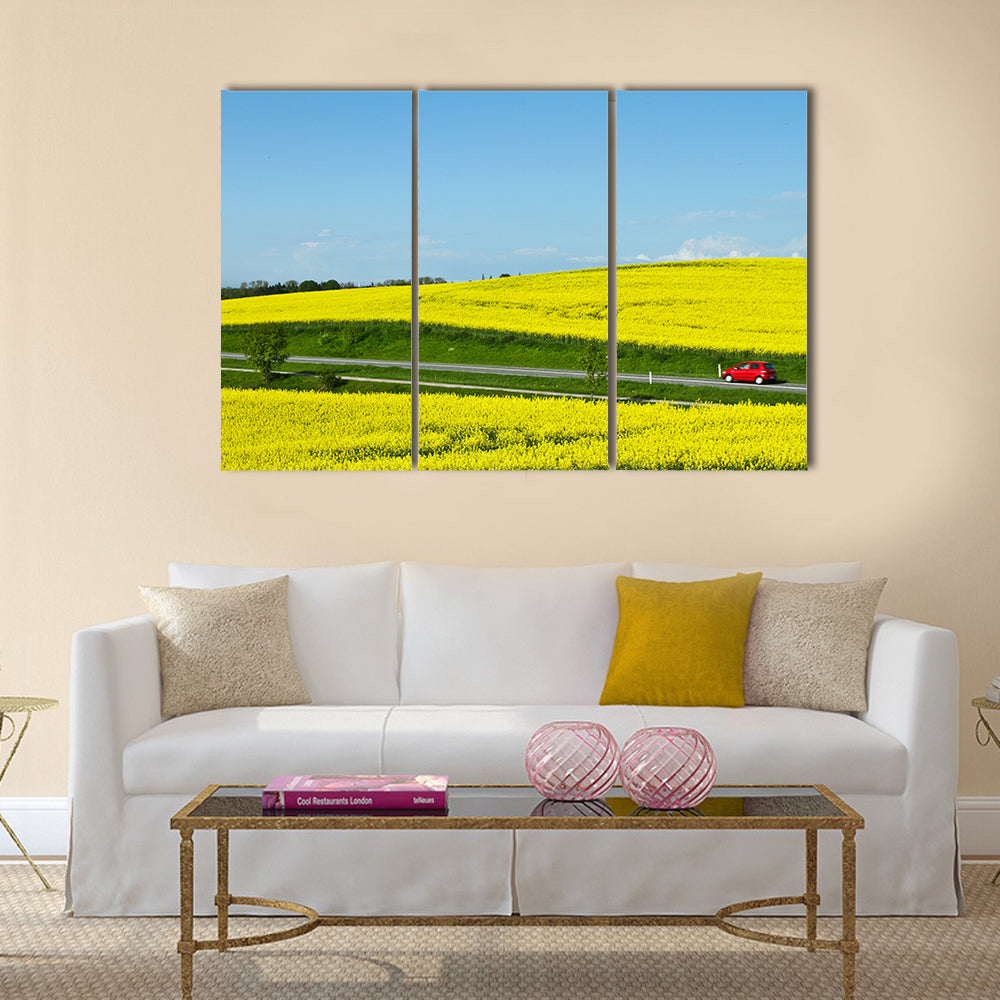Yellow rapse field in denmark in spring Multi Panel Canvas Wall Art