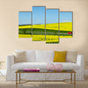 Yellow rapse field in denmark in spring Multi Panel Canvas Wall Art