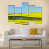 Yellow rapse field in denmark in spring Multi Panel Canvas Wall Art