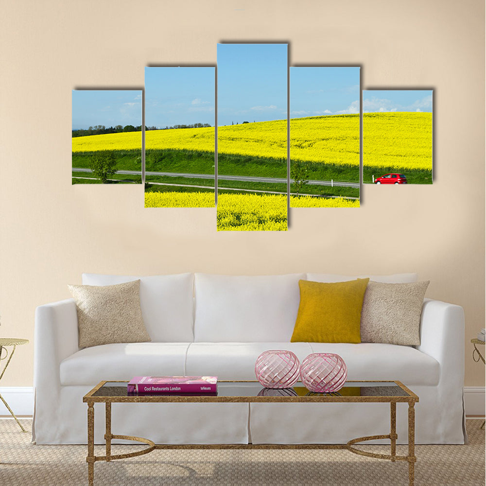 Yellow rapse field in denmark in spring Multi Panel Canvas Wall Art