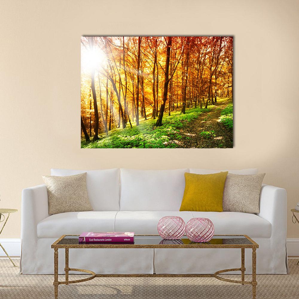 Sun in the autumn forest Multi panel canvas wall art