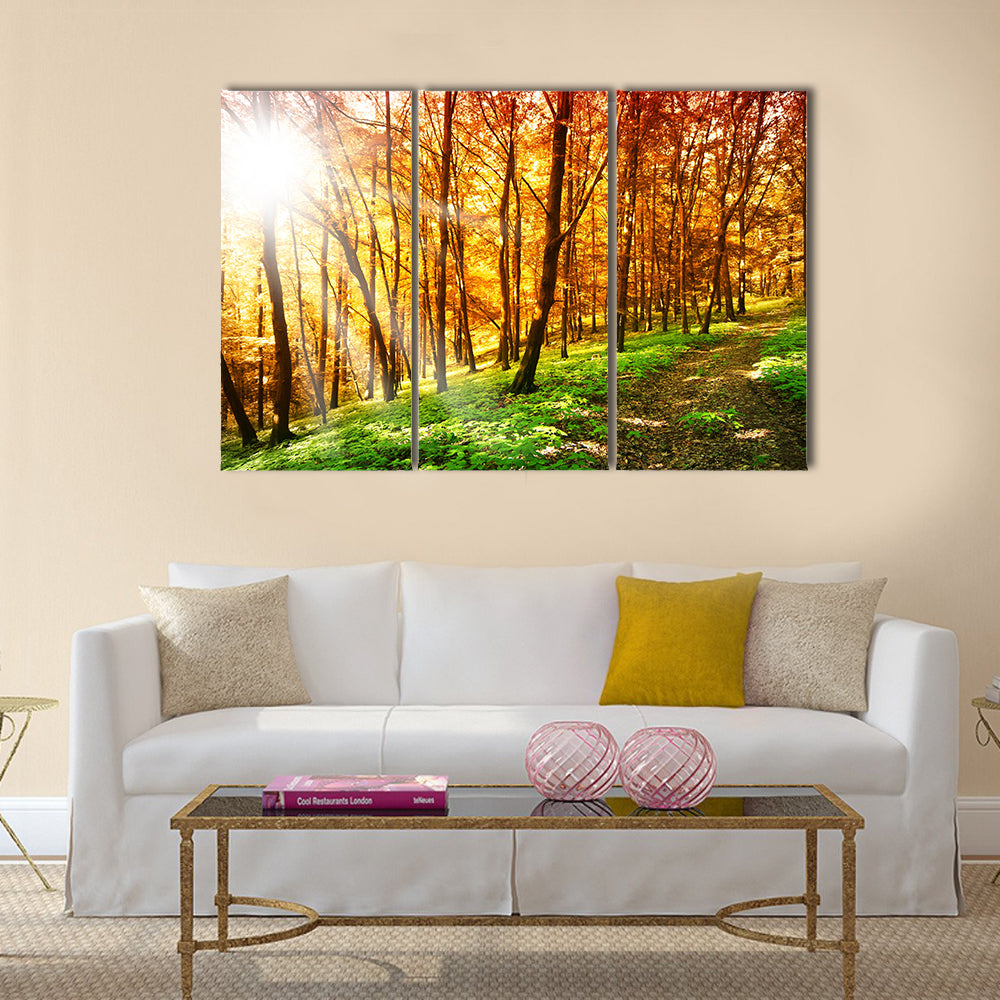 Sun in the autumn forest Multi panel canvas wall art